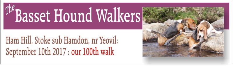 100th walk